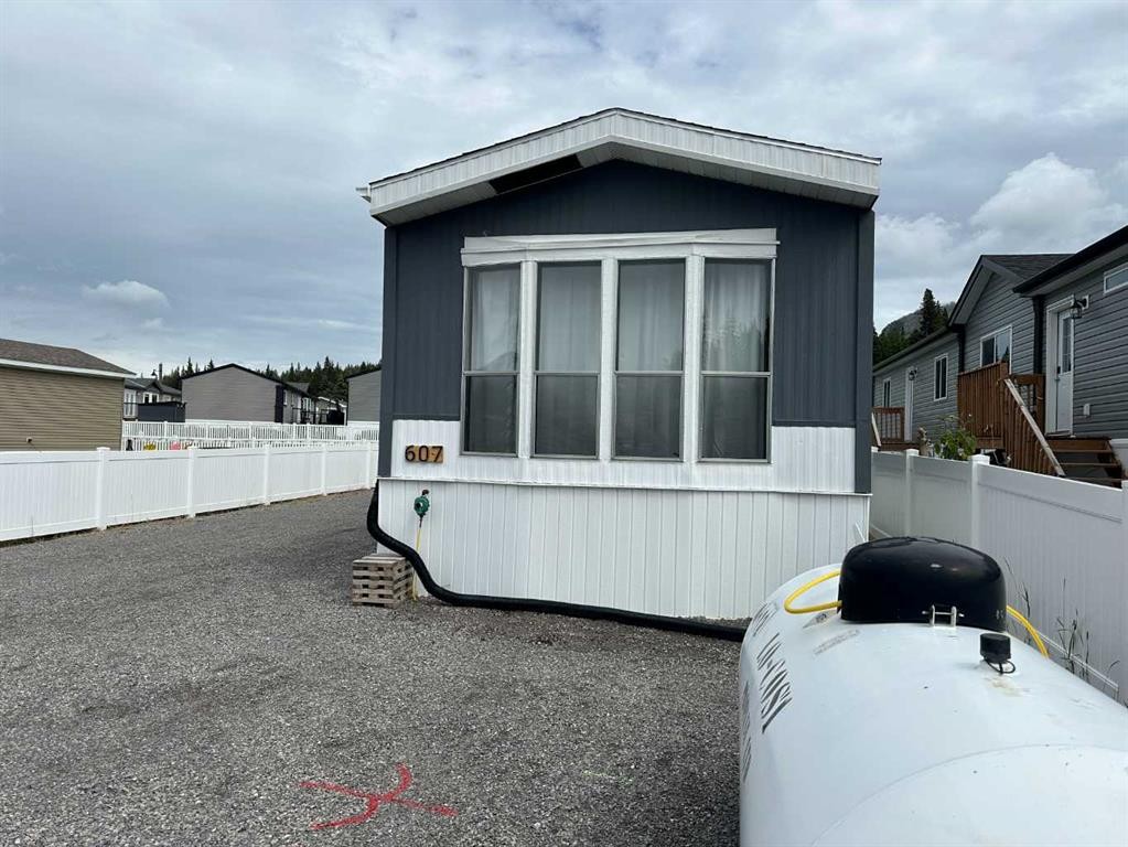 









607


LIMESTONE

Way,
Nordegg,




AB
T0M2H0


