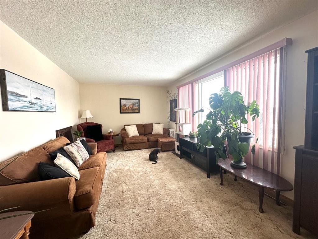 









5240


50

Avenue,
Holden,




AB
T0B2C0

