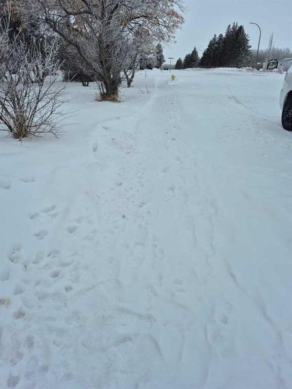 









315


Haultain

Avenue,
Heisler,







AB
T0B2A0

