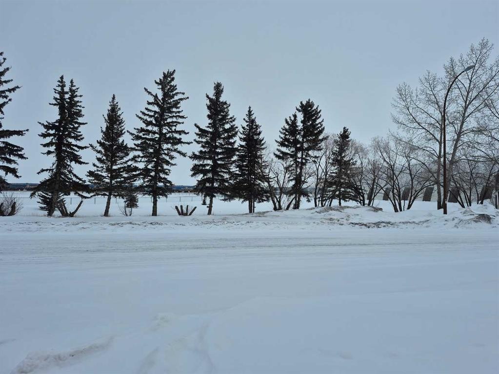 









315


Haultain

Avenue,
Heisler,







AB
T0B2A0

