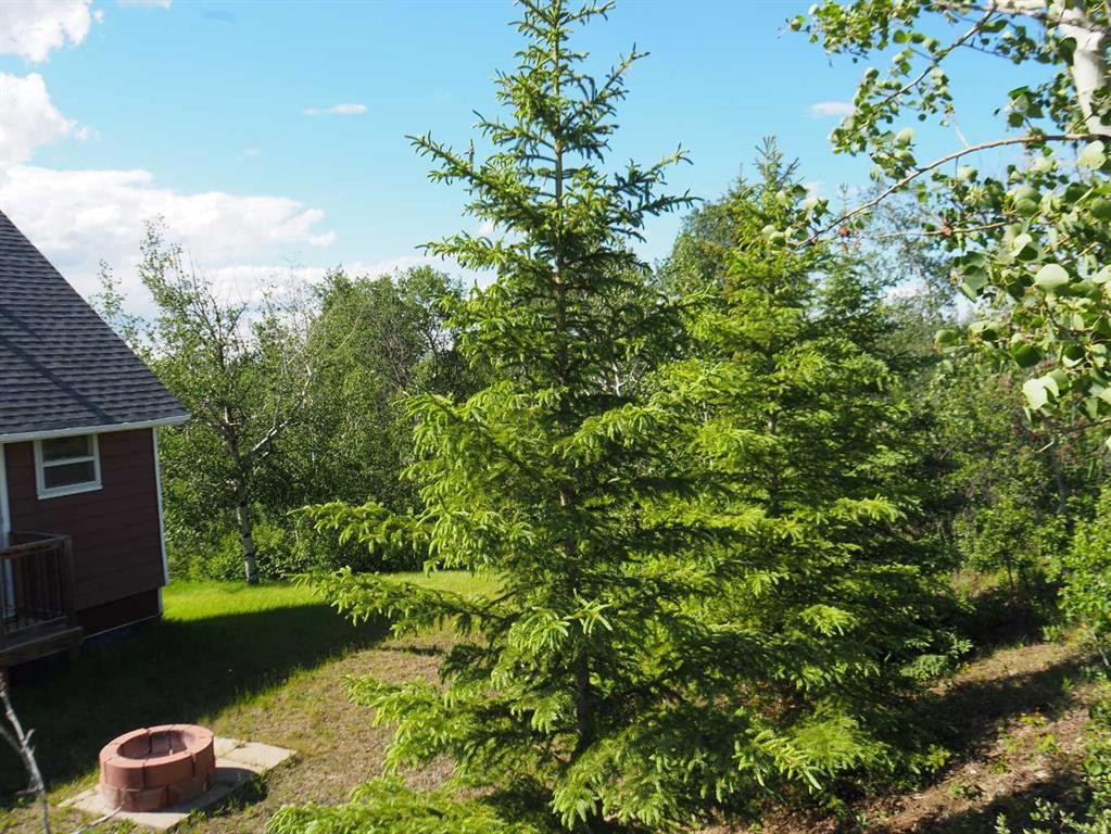 












Buffalo

Drive, 1,
Rural Stettler No. 6, County of,




AB
T0C 3B0

