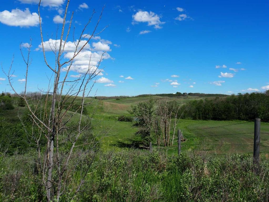 












Buffalo

Drive, 1,
Rural Stettler No. 6, County of,




AB
T0C 3B0


