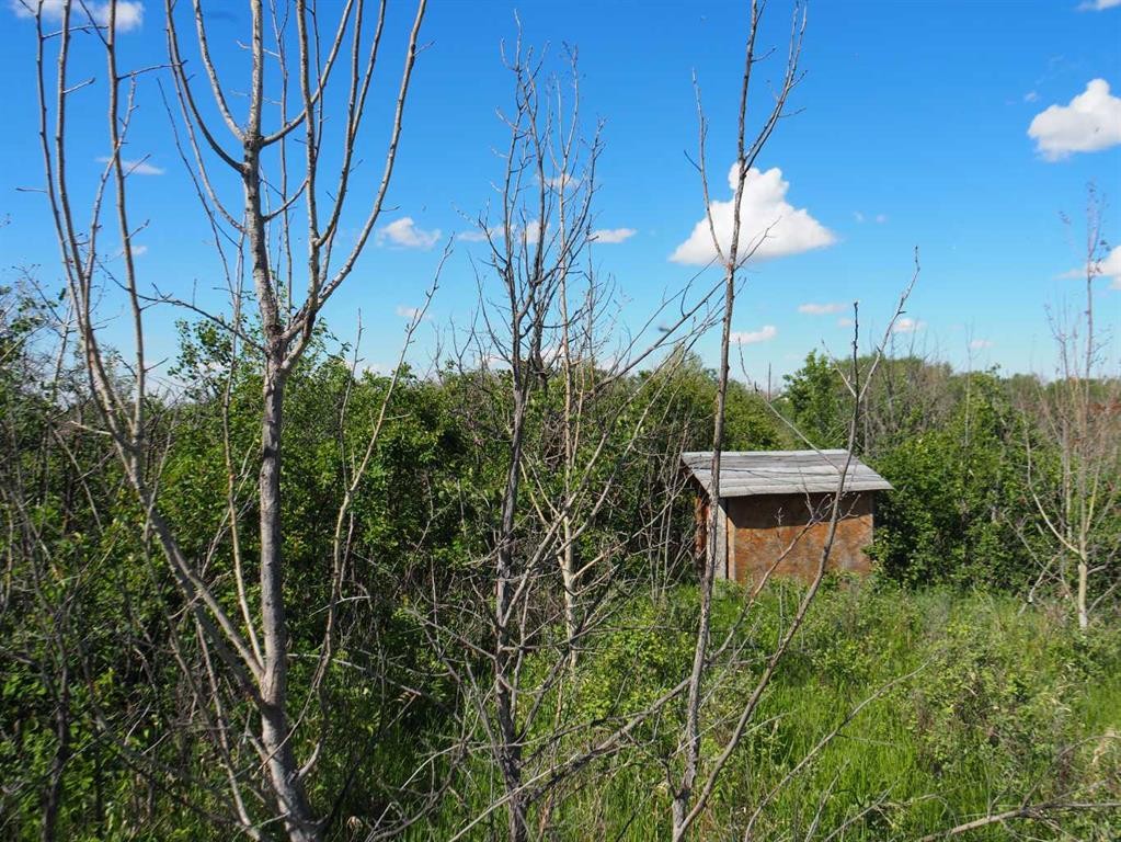 












Buffalo

Drive, 1,
Rural Stettler No. 6, County of,




AB
T0C 3B0

