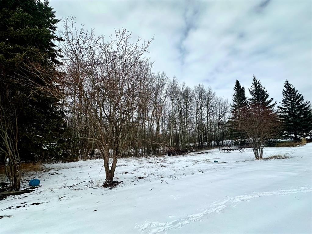









50124


Range Road 203

,
Rural Beaver County,




AB
T0B 4J2

