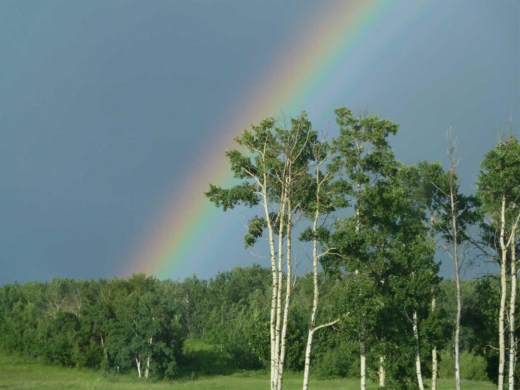 









420069


Range Road 284

, 14,
Rural Ponoka County,







AB
T4J 1R3

