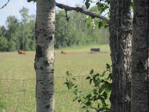 Featured Listing Photo 