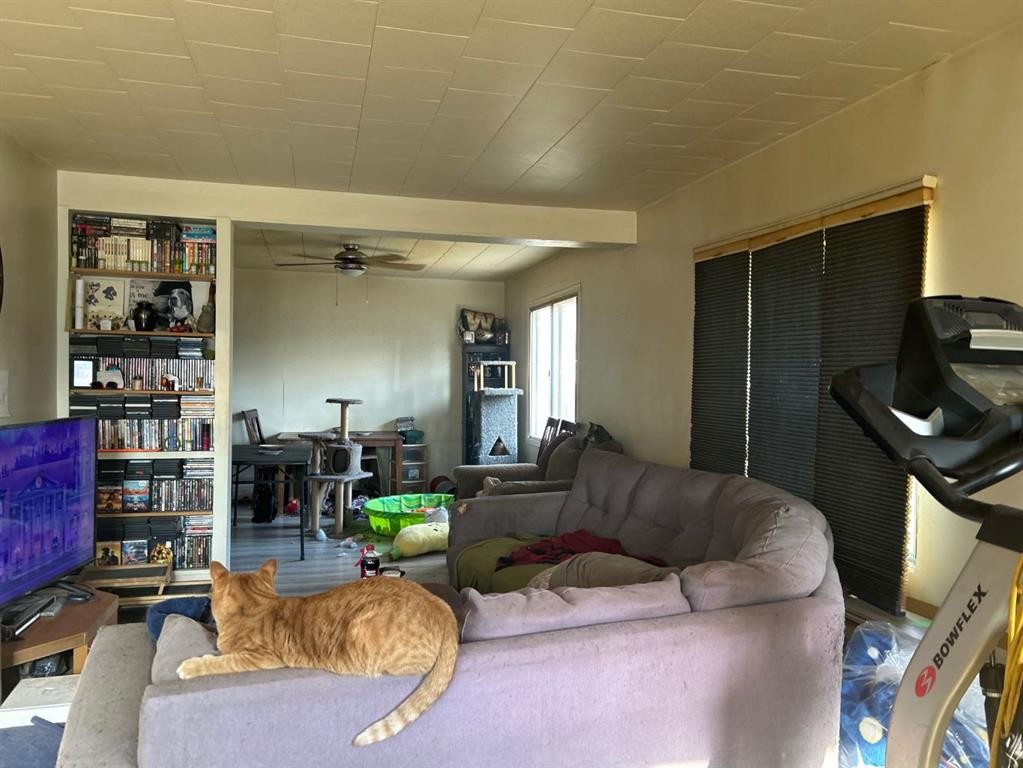 









5013


53

Street,
Killam,




AB
T0B 2L0

