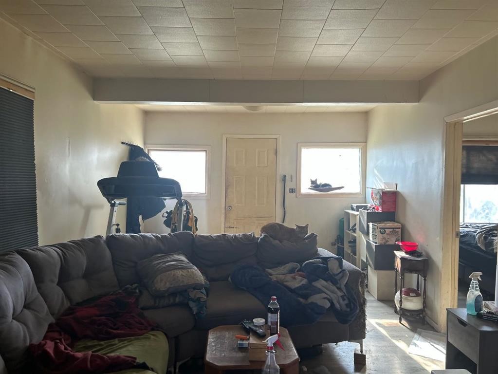 









5013


53

Street,
Killam,




AB
T0B 2L0

