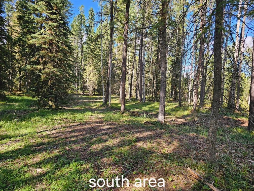 












Pine Ridge

Alley,
Rural Clearwater County,







AB
T4T 1A7

