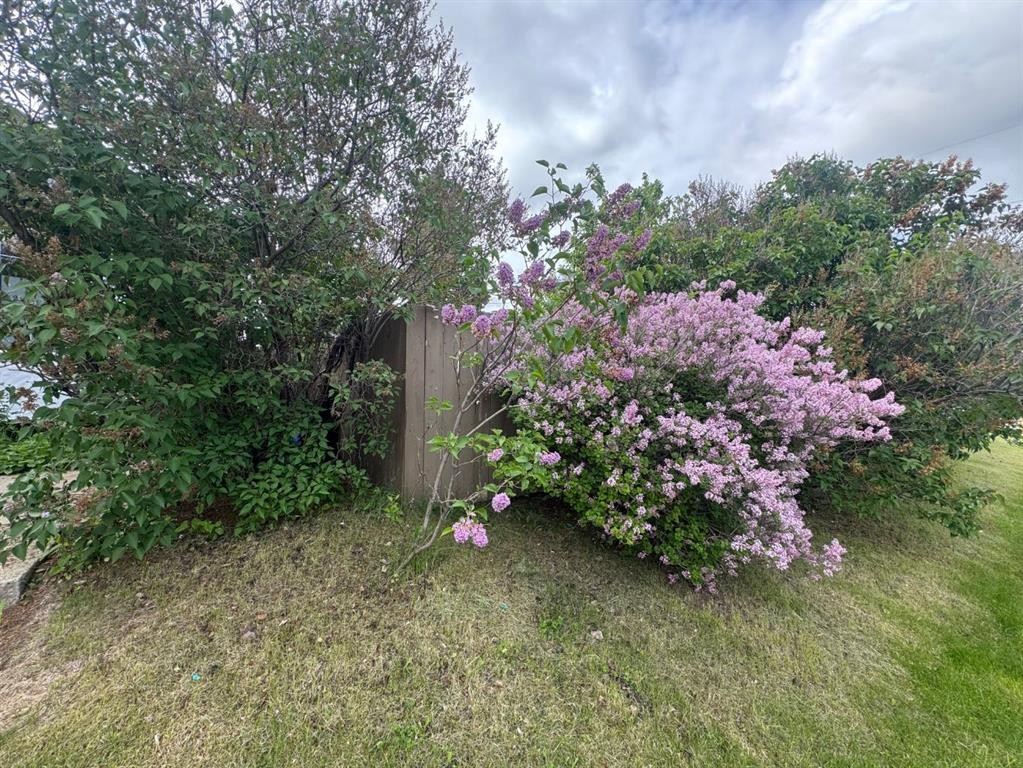 









4203


106

Avenue,
Edmonton,




AB
T6A 1E1

