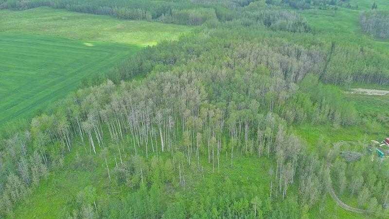 












Range Road 14

,
Rural Ponoka County,




AB
T0C 2J0

