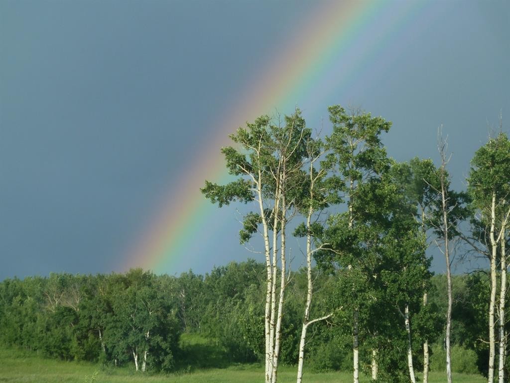 









420069


Range Road 284

, 12,
Rural Ponoka County,







AB
T4J 1R3

