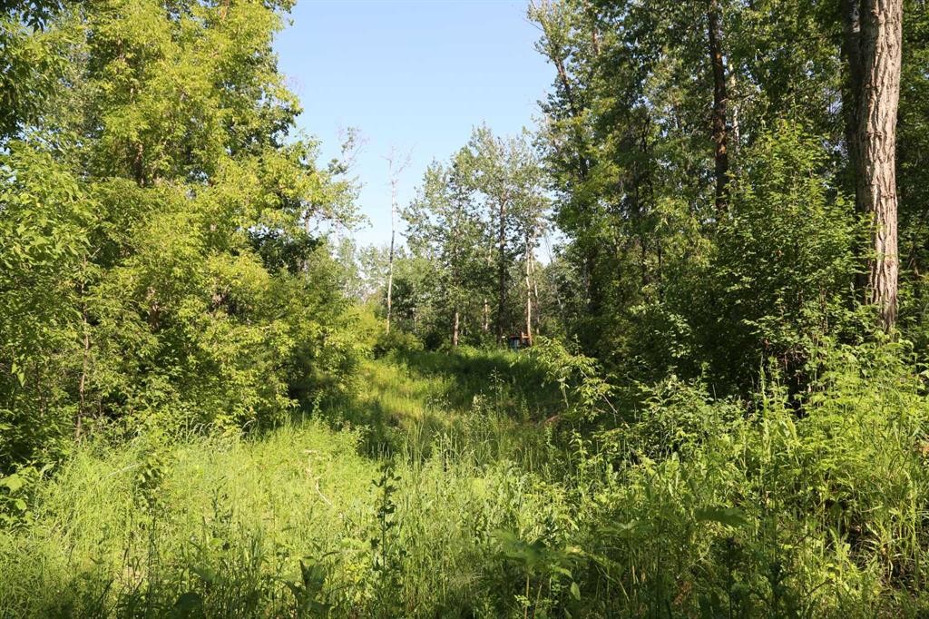 









#342


Range Road 214

, 44101,
Rural Camrose County,




AB
T0B1M0

