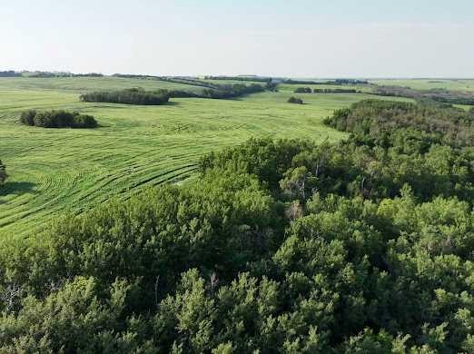 









#342


Range Road 214

, 44101,
Rural Camrose County,




AB
T0B1M0


