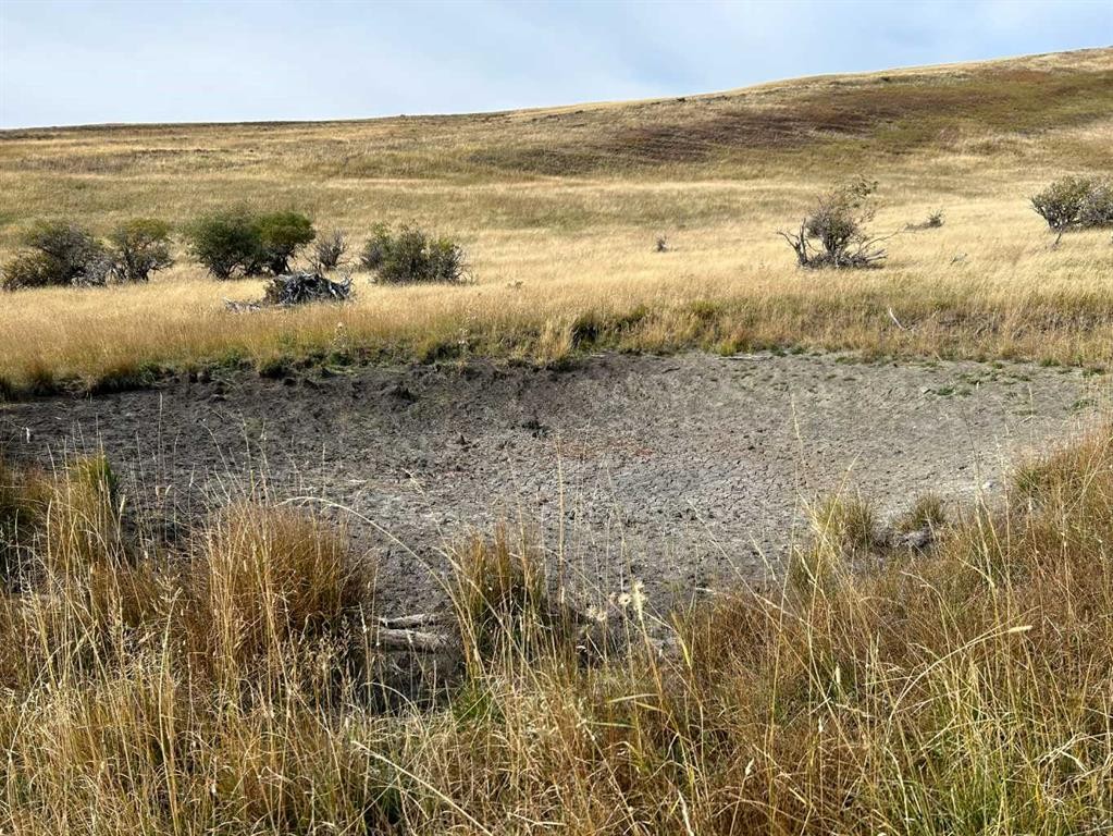 









NE 19-8-2 W5M


Approx 5 KM West of Hwy 22 & Township Rd 84

,
Lundbreck,







AB
T0K 1W0

