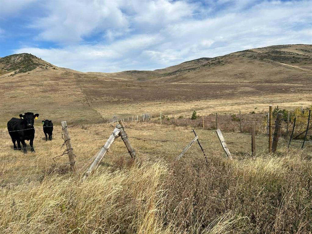









NE 19-8-2 W5M


Approx 5 KM West of Hwy 22 & Township Rd 84

,
Lundbreck,







AB
T0K 1W0


