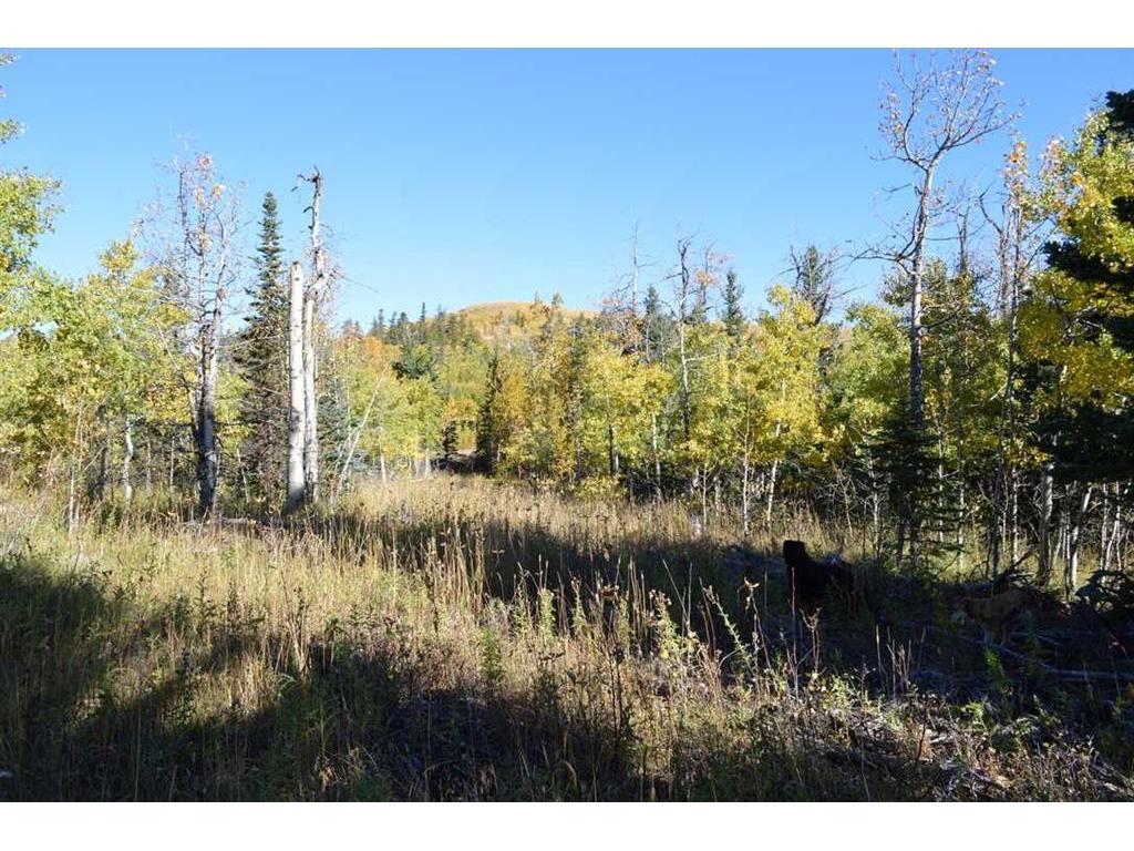 









LOT 14


Heritage Ranch

,
Rural Cardston County,







AB
T0K 0K0

