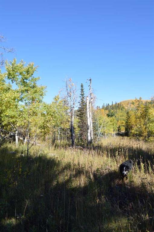 









LOT 14


Heritage Ranch

,
Rural Cardston County,







AB
T0K 0K0

