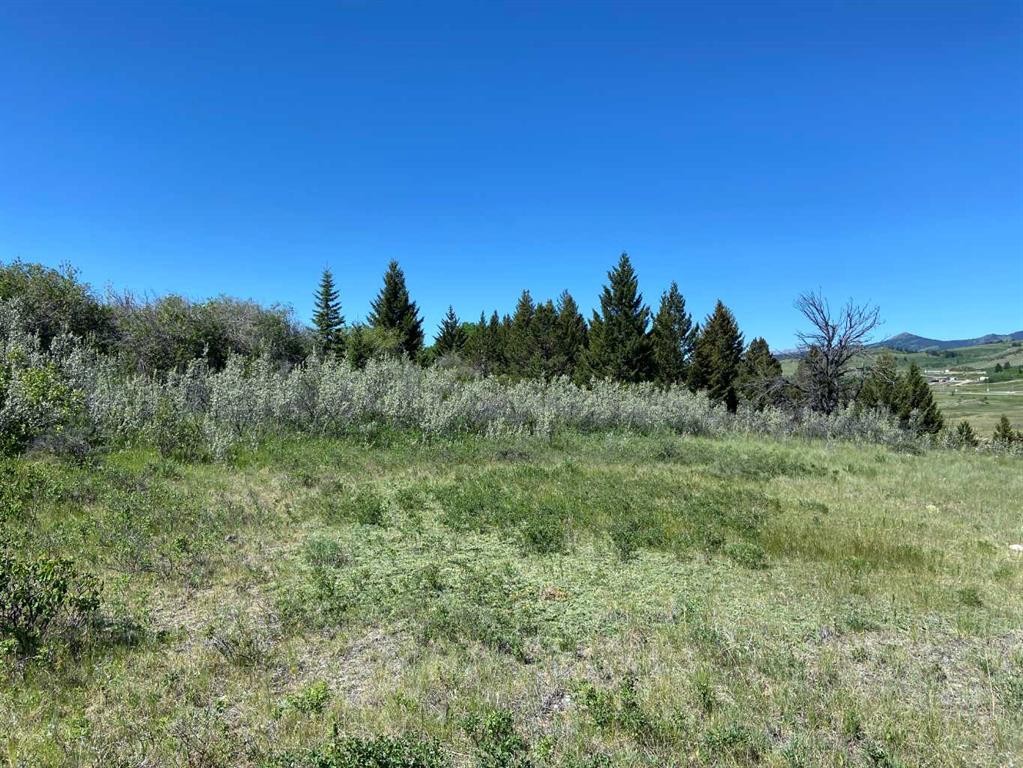 









6


Rustler's Ridge

,
Rural Pincher Creek No. 9, M.D. of,







AB
T0K 1W0

