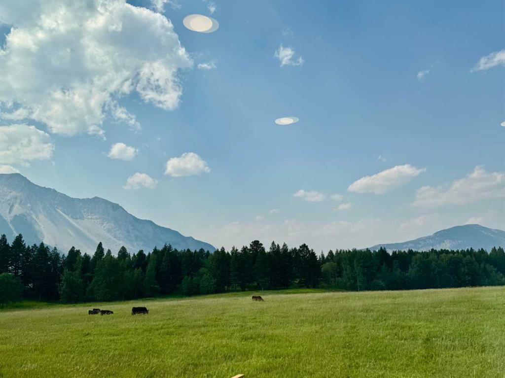 









21426


29

Avenue,
Bellevue,




AB
T0K 0C0

