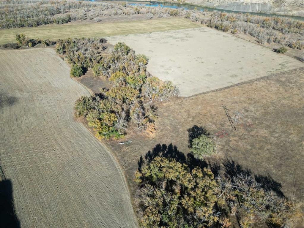 









221036


TWP RD 9-1A

Township,
Rural Lethbridge County,







AB
T0K 0T0


