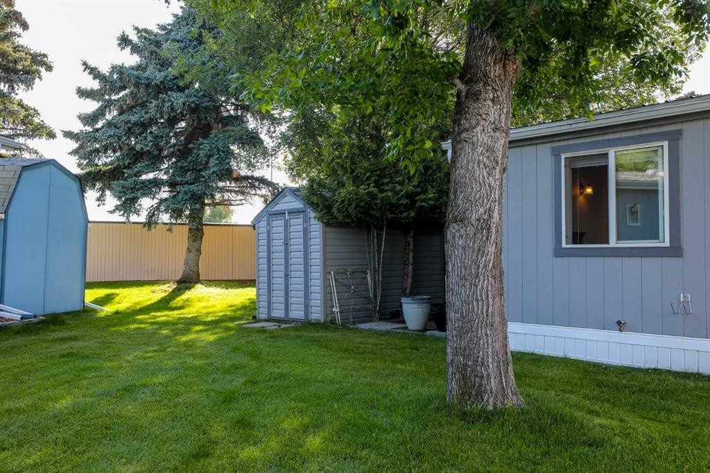 









3019


31 Street South

 South,
Lethbridge,




AB
T1K 6S9

