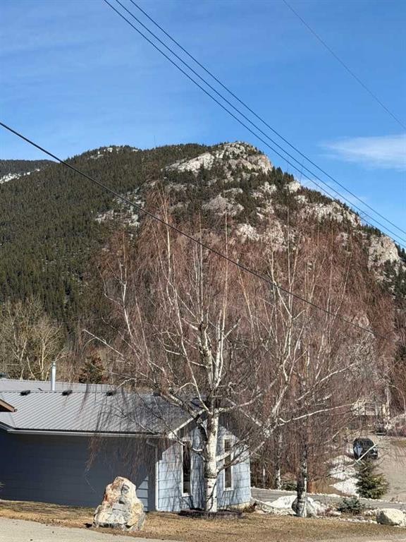 









13521


15

Avenue,
Blairmore,




AB
T0K 0E0

