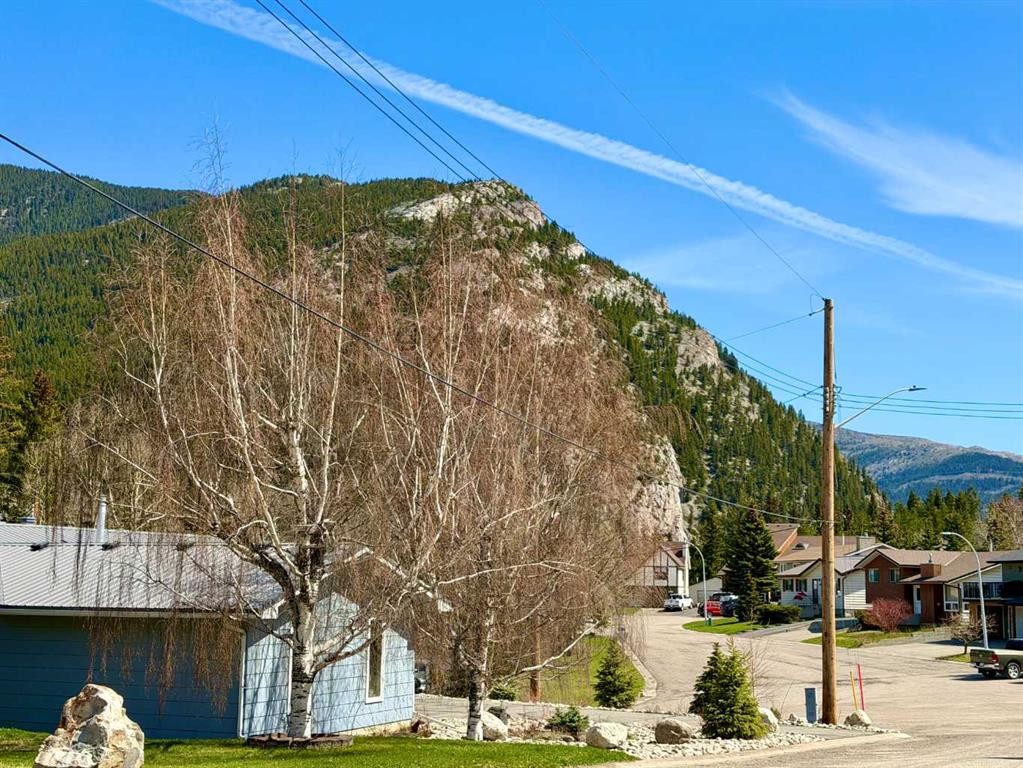 









13521


15

Avenue,
Blairmore,




AB
T0K 0E0

