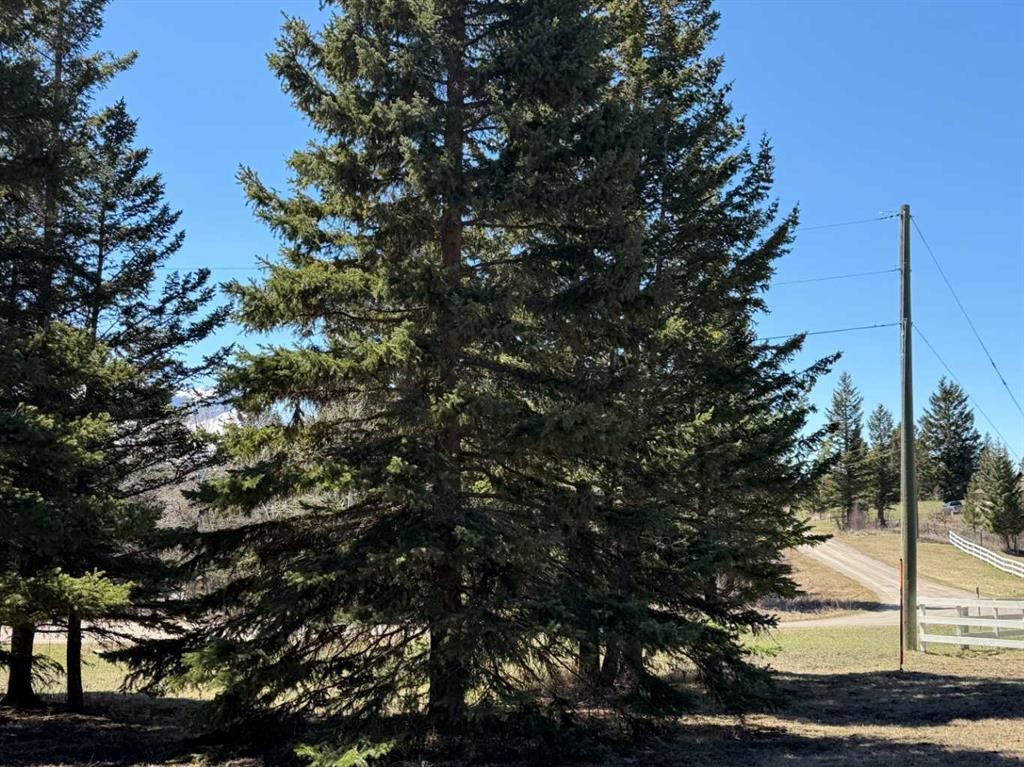 









2803


90

Street,
Coleman,




AB
T0K 0M0

