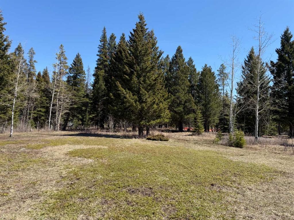 









2803


90

Street,
Coleman,




AB
T0K 0M0


