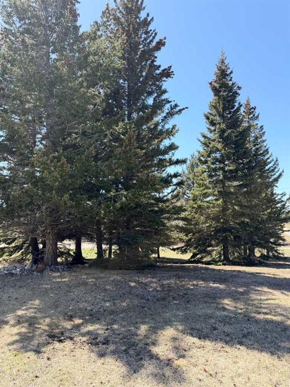 









2803


90

Street,
Coleman,




AB
T0K 0M0

