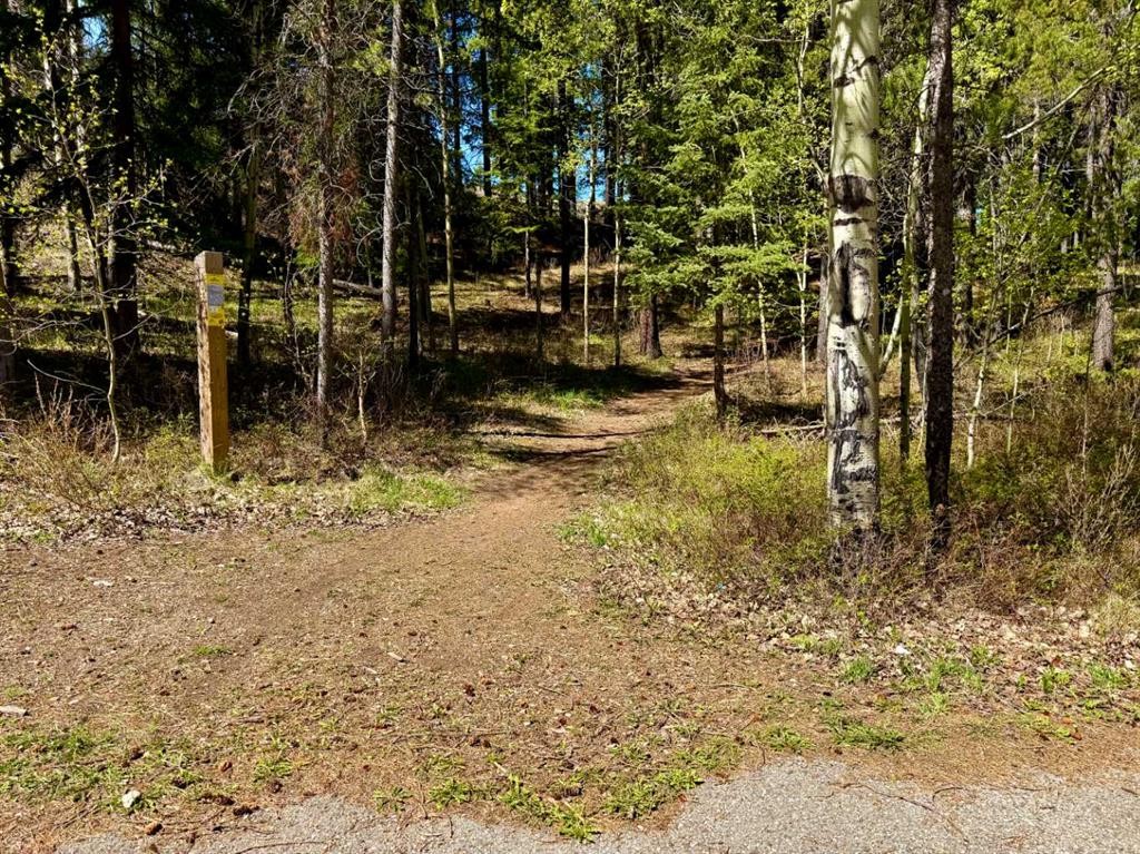 









1726


113

Street,
Blairmore,




AB
T0K 0E0

