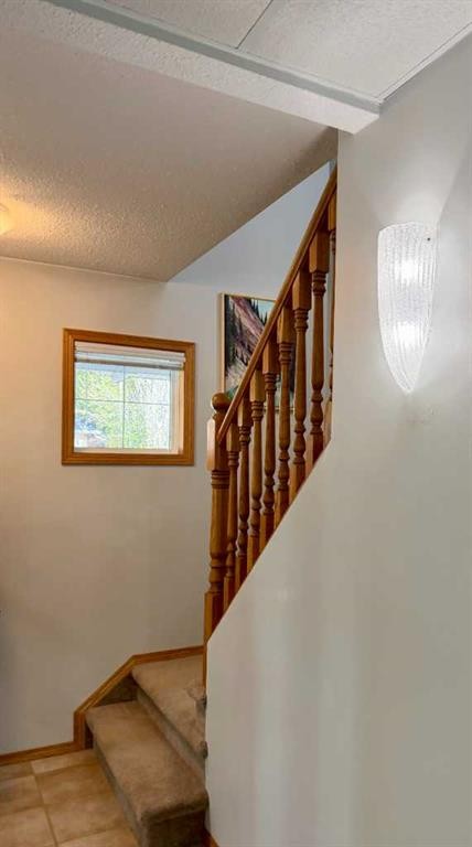 









1726


113

Street,
Blairmore,




AB
T0K 0E0

