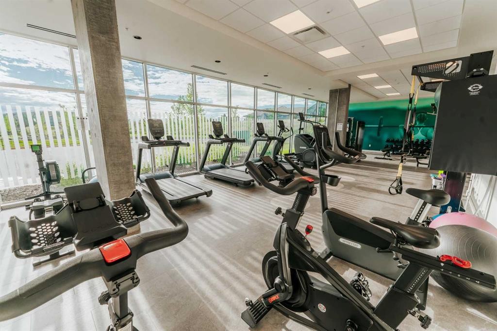 









102


Scenic

Drive North, 331,
Lethbridge,




AB
T1H 5L9

