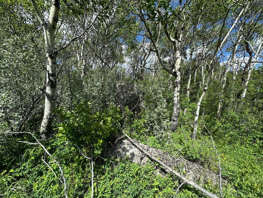 









North of 21 Ave


East of 150 St.

,
Frank,







AB
T0K 0E0

