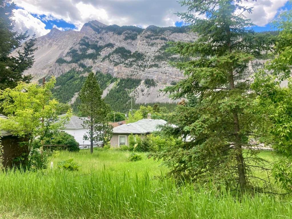 









14821


21

Avenue,
Frank,




AB
T0K 0E0

