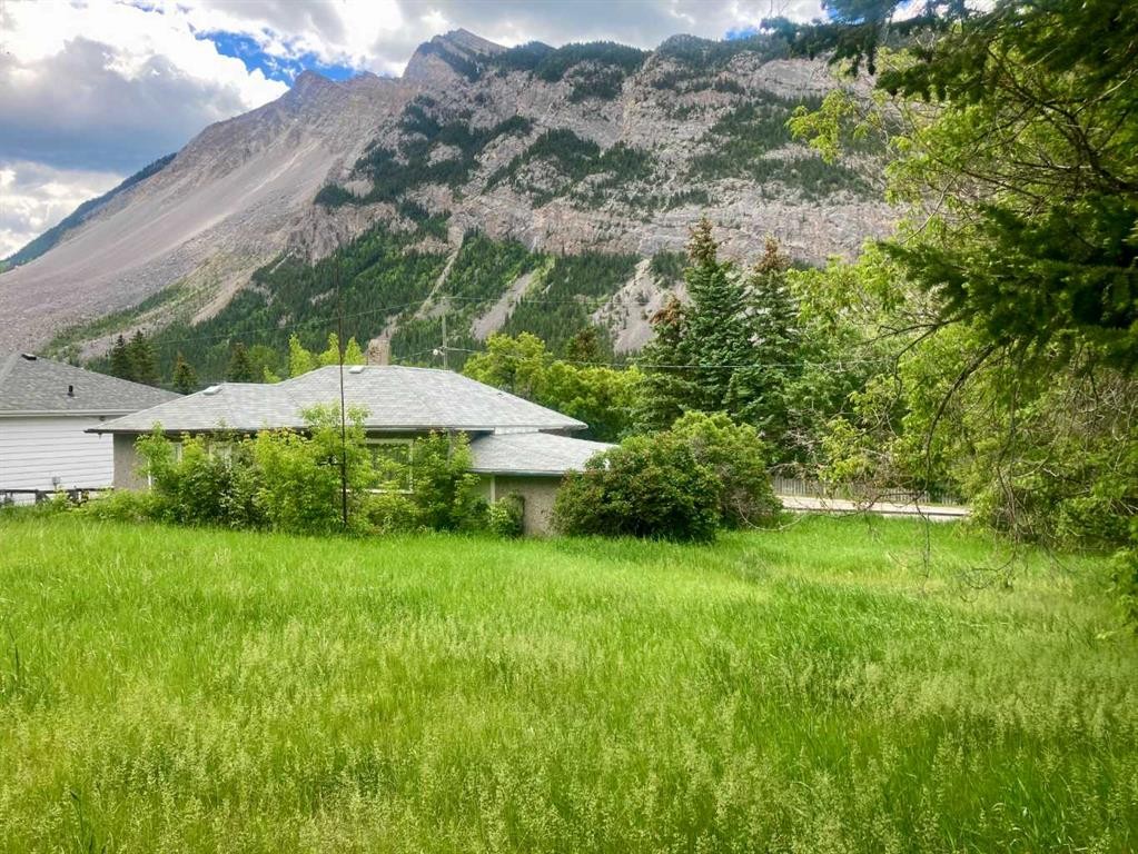 









14821


21

Avenue,
Frank,




AB
T0K 0E0

