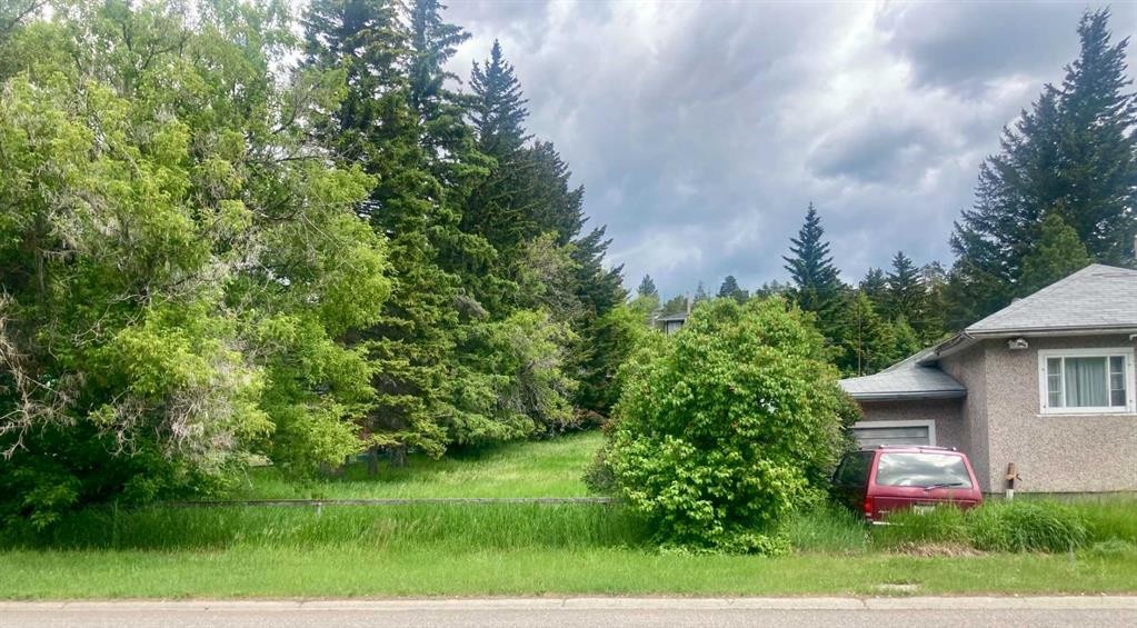 









14821


21

Avenue,
Frank,




AB
T0K 0E0


