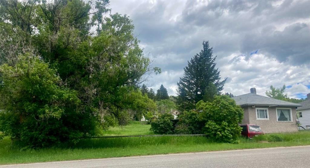 









14821


21

Avenue,
Frank,




AB
T0K 0E0

