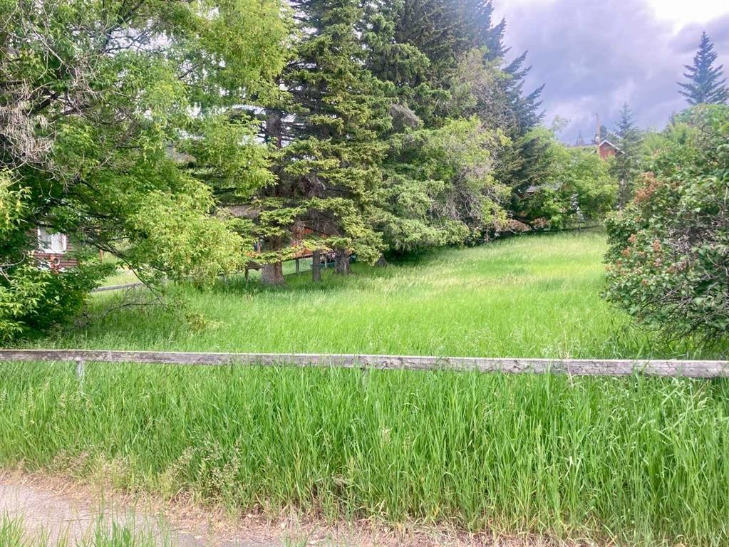 









14821


21

Avenue,
Frank,




AB
T0K 0E0

