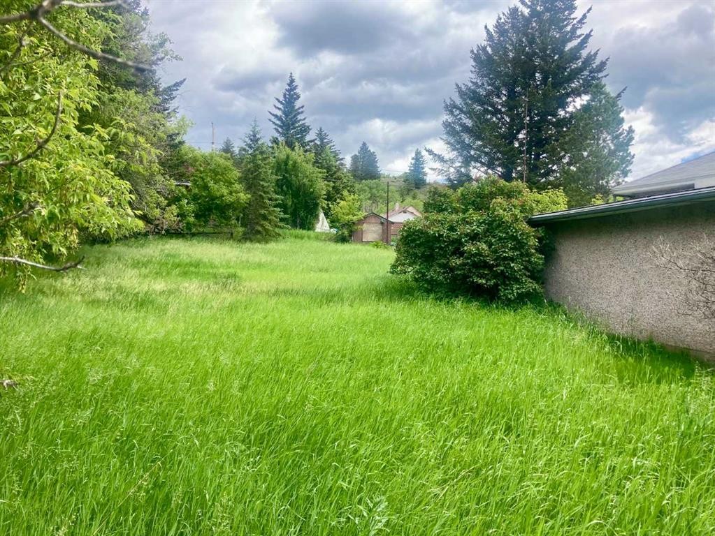 









14821


21

Avenue,
Frank,




AB
T0K 0E0

