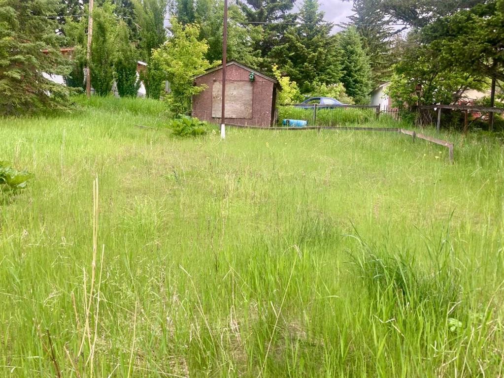 









14821


21

Avenue,
Frank,




AB
T0K 0E0

