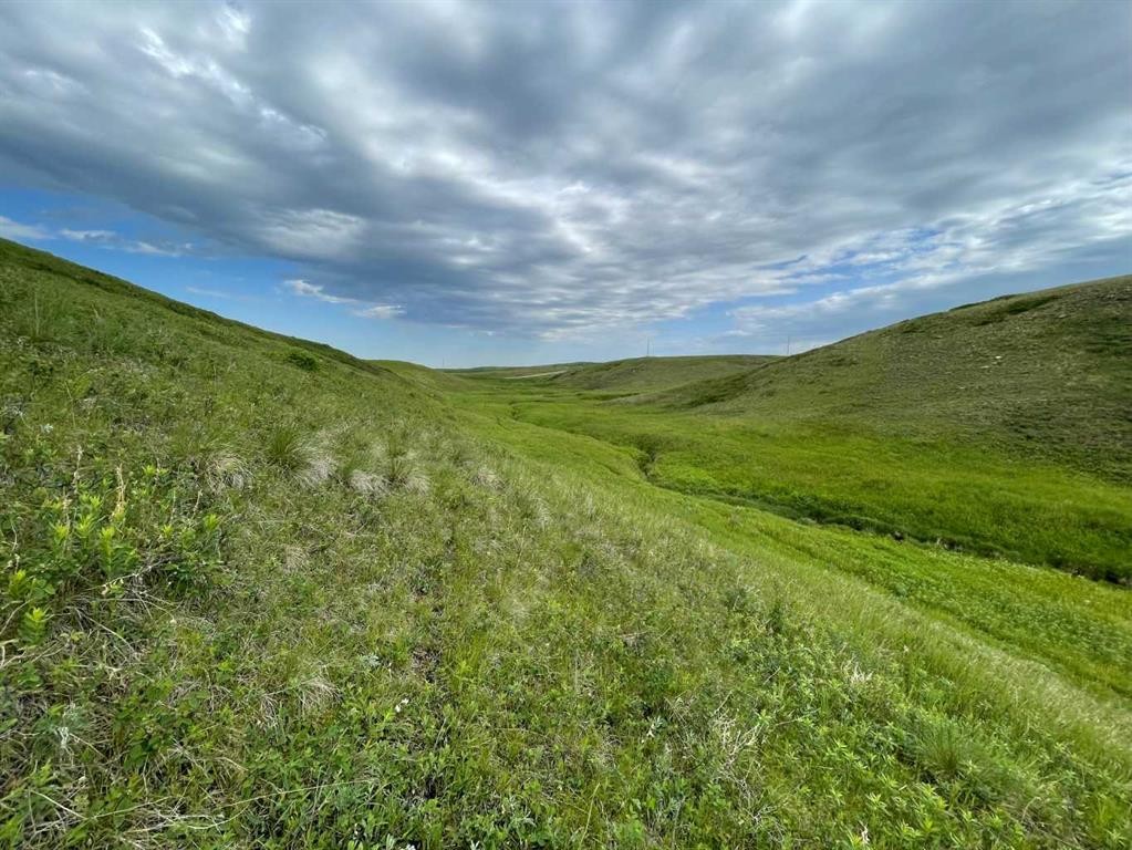 









234


Range Road

,
Spring Coulee,







AB
T0K 0K0

