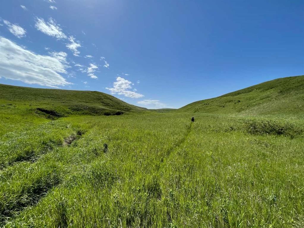 









234


Range Road

,
Spring Coulee,







AB
T0K 0K0

