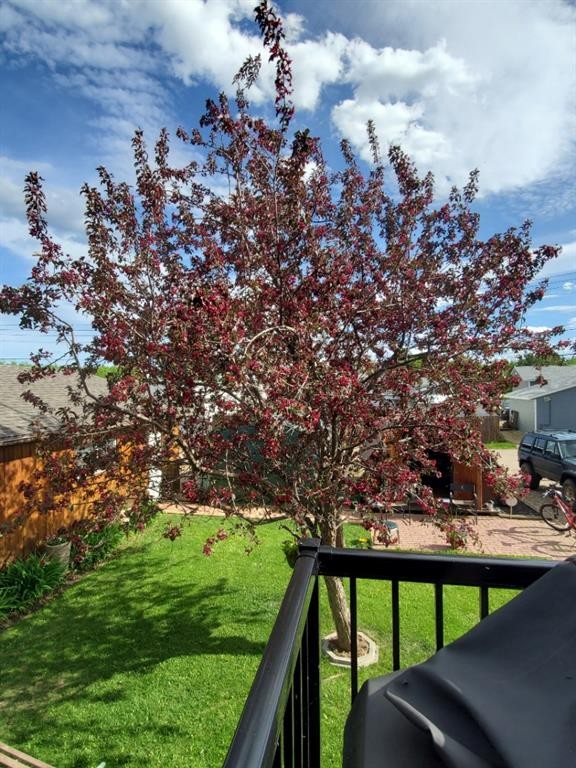 









310


Brassard

,
McLennan,




AB
T0H 2L0

