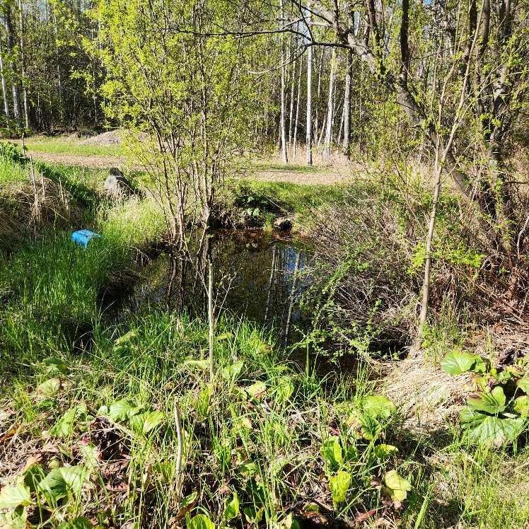 









3  2nd st


Key Cove

Drive South,
Joussard,







AB
T0G 1J0

