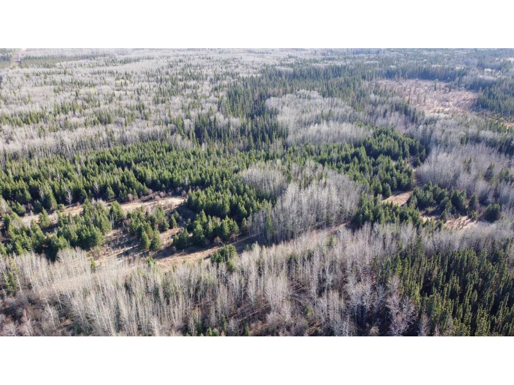












None

,
Rural Northern Lights, County of,







AB
T8S 1K7

