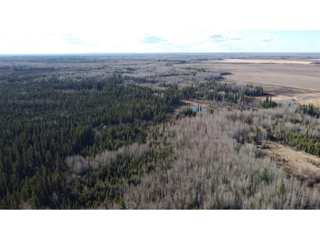 












None

,
Rural Northern Lights, County of,







AB
T8S 1K7

