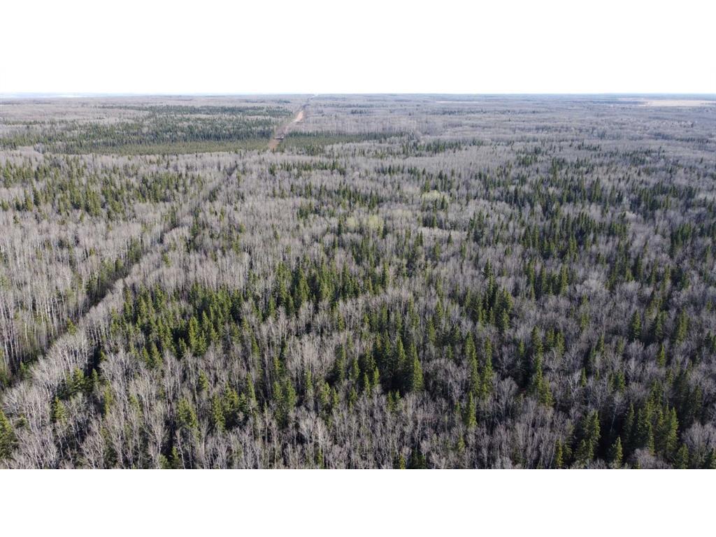 












None

,
Rural Northern Lights, County of,







AB
T8S 1K7

