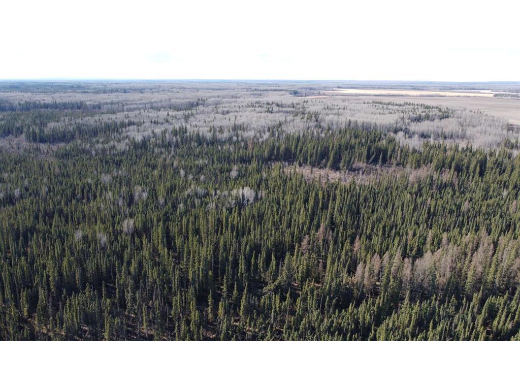 












None

,
Rural Northern Lights, County of,







AB
T8S 1K7


